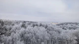 Весна начнётся с морозов -33 градуса: Вильфанд опубликовал прогноз на начало весны - готовьтесь к худшему