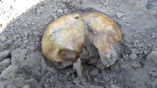 Выворачивают черепа из-под земли: найденный средневековый некрополь в центре Рязани атаковали черные копатели