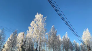 Зима в России будет суровой, предупреждают синоптики: прогноз на декабрь и январь выглядит безумным