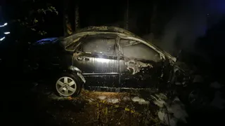 В Клепиковском районе водитель Chevrolet сбил лося и погиб