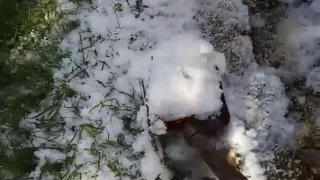 Перед заморозками: Касимов накрыло градом