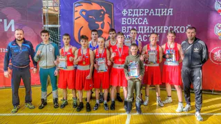 Владимирские боксеры завоевали награды на областном первенстве и турнире