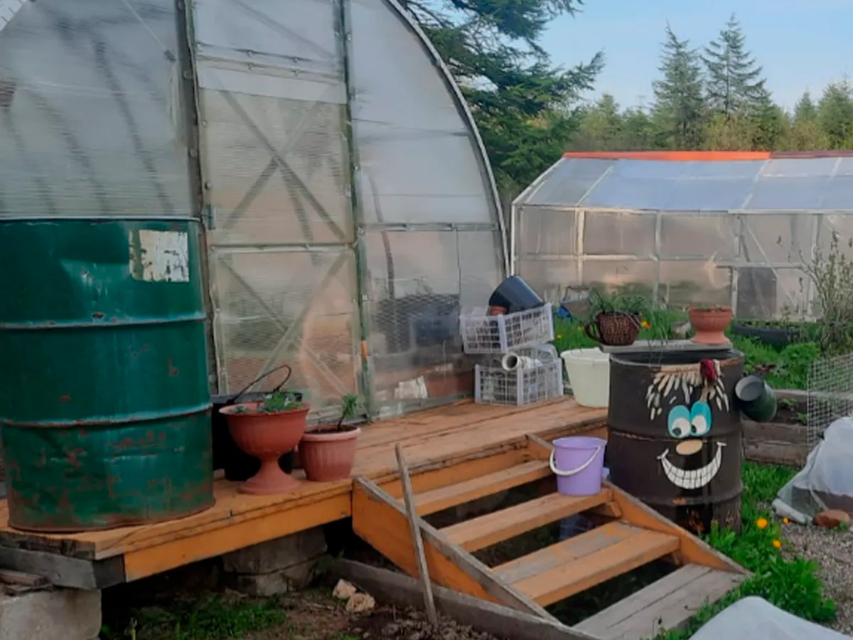Нужно ли закрывать теплицу на зиму: дачники получили четкий ответ — в многолетнем споре поставлена точка