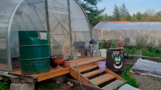 Нужно ли закрывать теплицу на зиму: дачники получили четкий ответ — в многолетнем споре поставлена точка