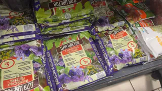 Зашла в Фикс Прайс за мелочью - и накупила всего для дачи: здесь есть все - от грунта до гиацинтов. Лучшие находки