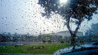 31 мая 2022 года в Рязанской области будет дождь и +25 градусов