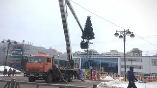 На площади Победы начали устанавливать Новогоднюю ёлку