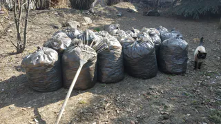 Второй весенний субботник пройдет в Рязани 18 апреля: названы адреса уборки