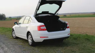 С 16 августа это должно быть в багажнике у всех водителей. Иначе лишат прав и заберут автомобиль