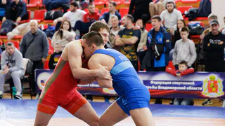 Владимирские борцы завоевали восемь медалей на чемпионате ЦФО