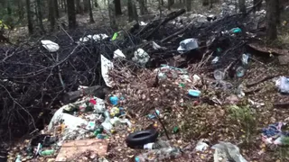 Во Владимирской области снизилось число нелегальных свалок