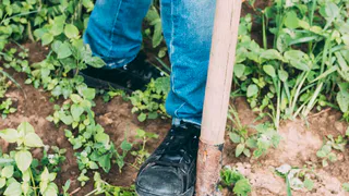 «Копай себе могилу!»: так зверски вязниковец хотел вернуть себе долг