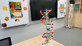 Одна из старейших образовательных организаций Сыктывкара откроет свои двери в новом учебном году