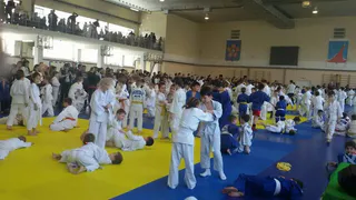 Рязанец, получивший всероссийскую судейскую категорию по дзюдо, рассказал о своей работе