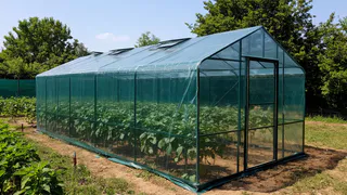 Затеняющая сетка не нужна: накрываем теплицу другим материалом — жара не грозит, урожай шикарный