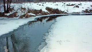 В озере под Рязанью утонула женщина. Следственный комитет проводит проверку