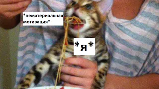 Говорить "спасибо" и "молодец": что Минтруд думает о мотивации госслужащих