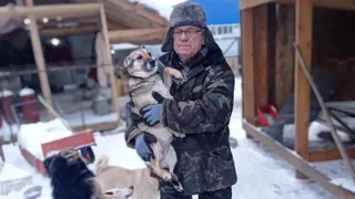 Пенсионер из Гусь-Хрустального создал приют для бездомных собак на свои деньги
