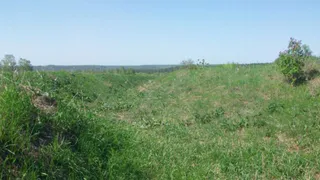 В Никольском районе Пензенской области начнут археологические раскопки