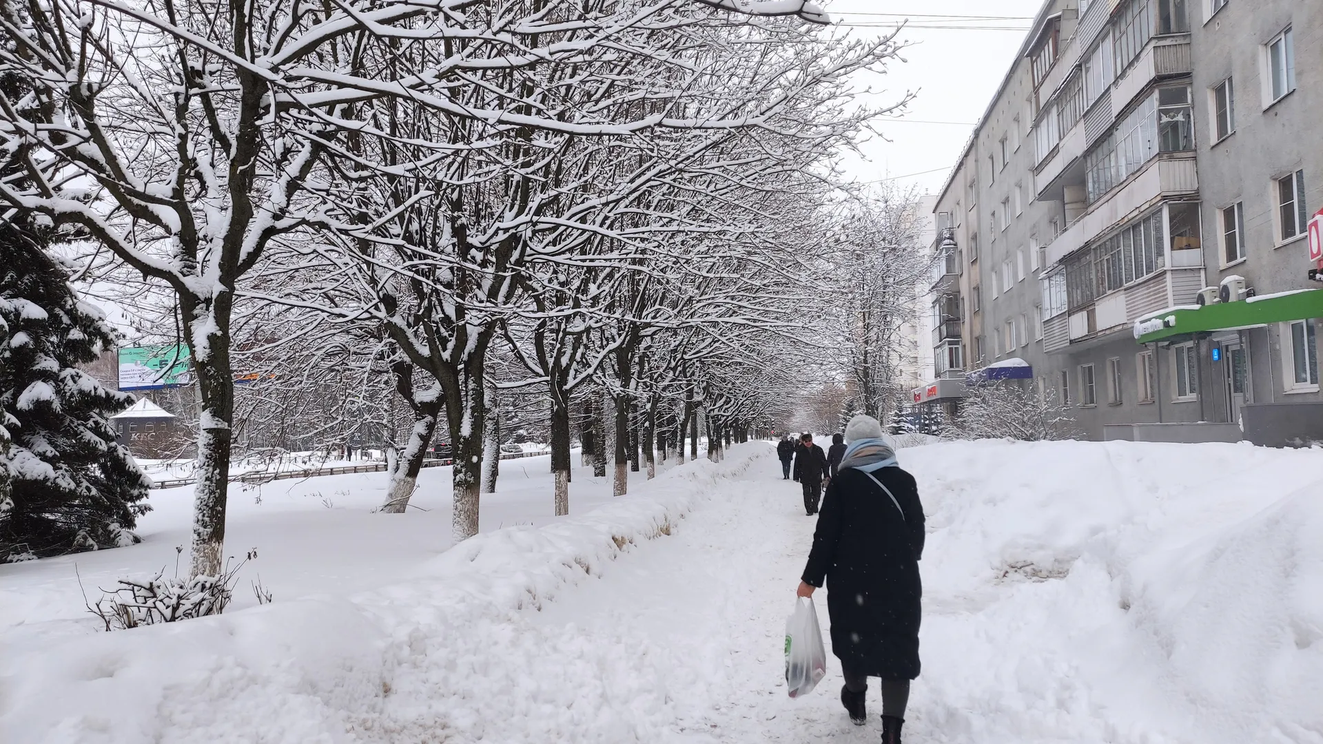 На нашем веку такой лютой зимы еще не было: метеорологи сообщили, к чему готовиться