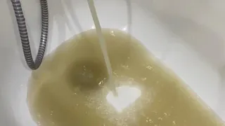 "Рыбная вода": рязанский "Водоканал" очистит дно Оки