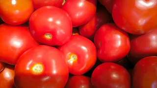 В Коми за неделю подорожали проезд и помидоры, а свекла и электропылесосы стали дешевле