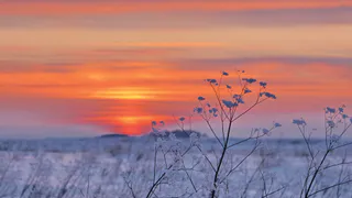 Зилант, Шурале и Девичья гора: путеводитель по мифам и легендам Татарстана