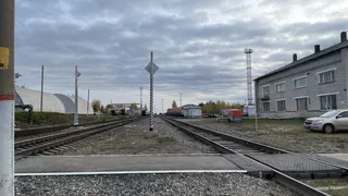 В Коми задержан подозреваемый в убийстве работника железной дороги