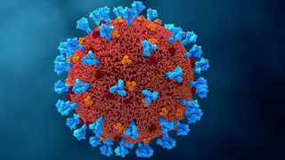 Коронавирус COVID-19 свергли с пьедестала опасных болезней