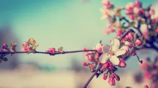 На Россию нашло майское тепло