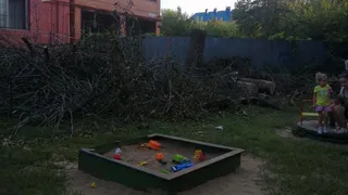 На Семена Середы рабочие спилили сухостой, а вывезти его забыли