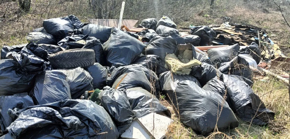 В Набережных Челнах суд обязал ликвидировать свалку строительных отходов
