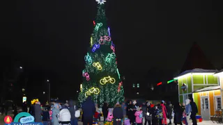 24 декабря в Нижнекамске откроются елки в двух парках