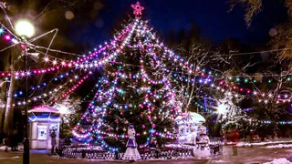 Брянский губернатор предложил готовиться к Новому году с августа