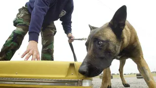 В Нижнекамске в один из банков подкинули бомбу?