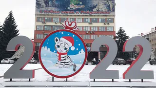 На площади Ленина установили цифровую инсталляцию с тигренком