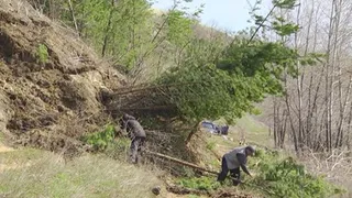 35 миллионов выделено на ликвидацию последствий оползня на автодороге Чистополь - Нижнекамск