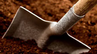 Житель новозыбковской деревни забил пасынка палкой и закопал тело во дворе