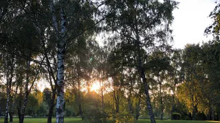 По горячим следам: в Рязанском районе задержали браконьера