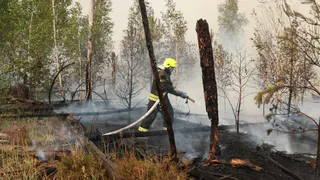 Площадь лесного пожара в Рязанском районе составила 26 гектаров