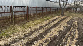 Аномальный холод в апреле изменит сроки урожая: когда лучше сажать помидоры и картошку - список дат 