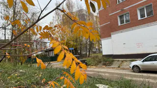 Синоптики рассказали о погоде в Коми на сегодня, 29 октября