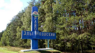 В Злынковском районе нашли депутатшу-уголовницу