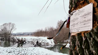 В Рязани на месте крушения Ил-76 появилась памятная табличка лётчикам