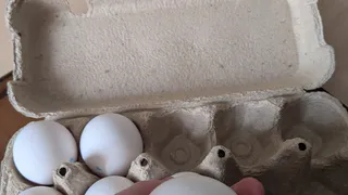 Купил в "Чижике" яйца за 69 рублей — только дома узнал, какие они — рассказываю честно