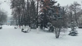 Стало известно, что сделал рязанец с найденным на улице кошельком