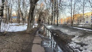 Прокуратура требует отремонтировать очистные сооружения в поселке Мурмино под Рязанью