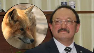 Под Казанью чиновник застрелил женщину, приняв ее за лису. Его не наказали