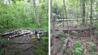 “По этому месту будут ходить дети”: рязанка пожаловалась на мусор позади дома