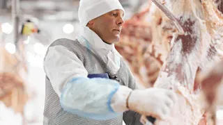 Брянские коровы стали давать «сало»